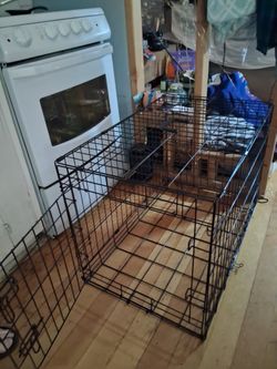 Dog Kennel colapsable