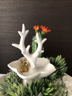 Modern succulent arrangement