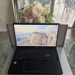 ASUS L510M Vivobook Laptop 15.6” Intel Celeron 256GB SSD Windows 11 w/ Charger - $129