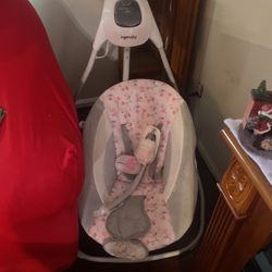 Barely Used  Ingenuity $35