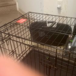 Doggy Cages 