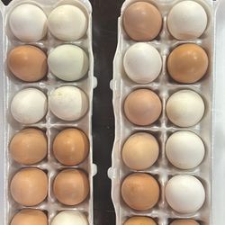 Dozen Fresh Eggs