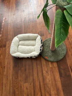 Cat Bed