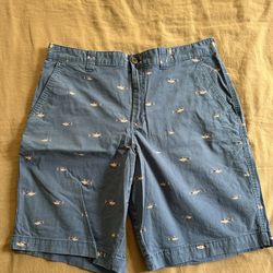 Magellan Shorts.