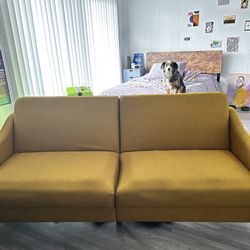 Yellow Couch Futon