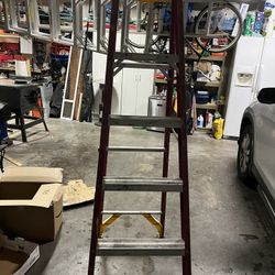 Werner 6 Ft Aluminum Step Ladder