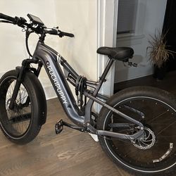 Electric Bike
