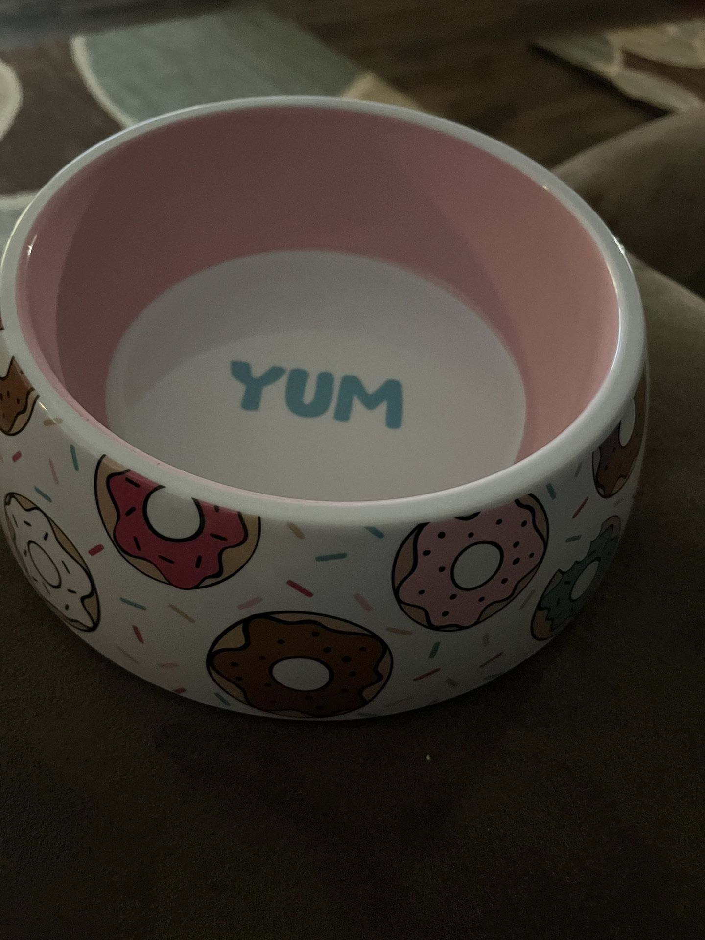 Pet Food Bowl