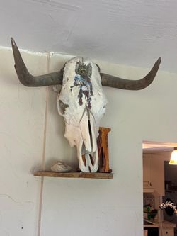 22” long Bull  skeleton head  The image shows a hand-painted depiction of a Native American ceremonial or kachina dancer on a genuine animal bone or s