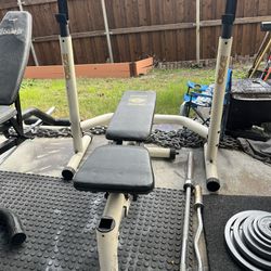 Weight Bench