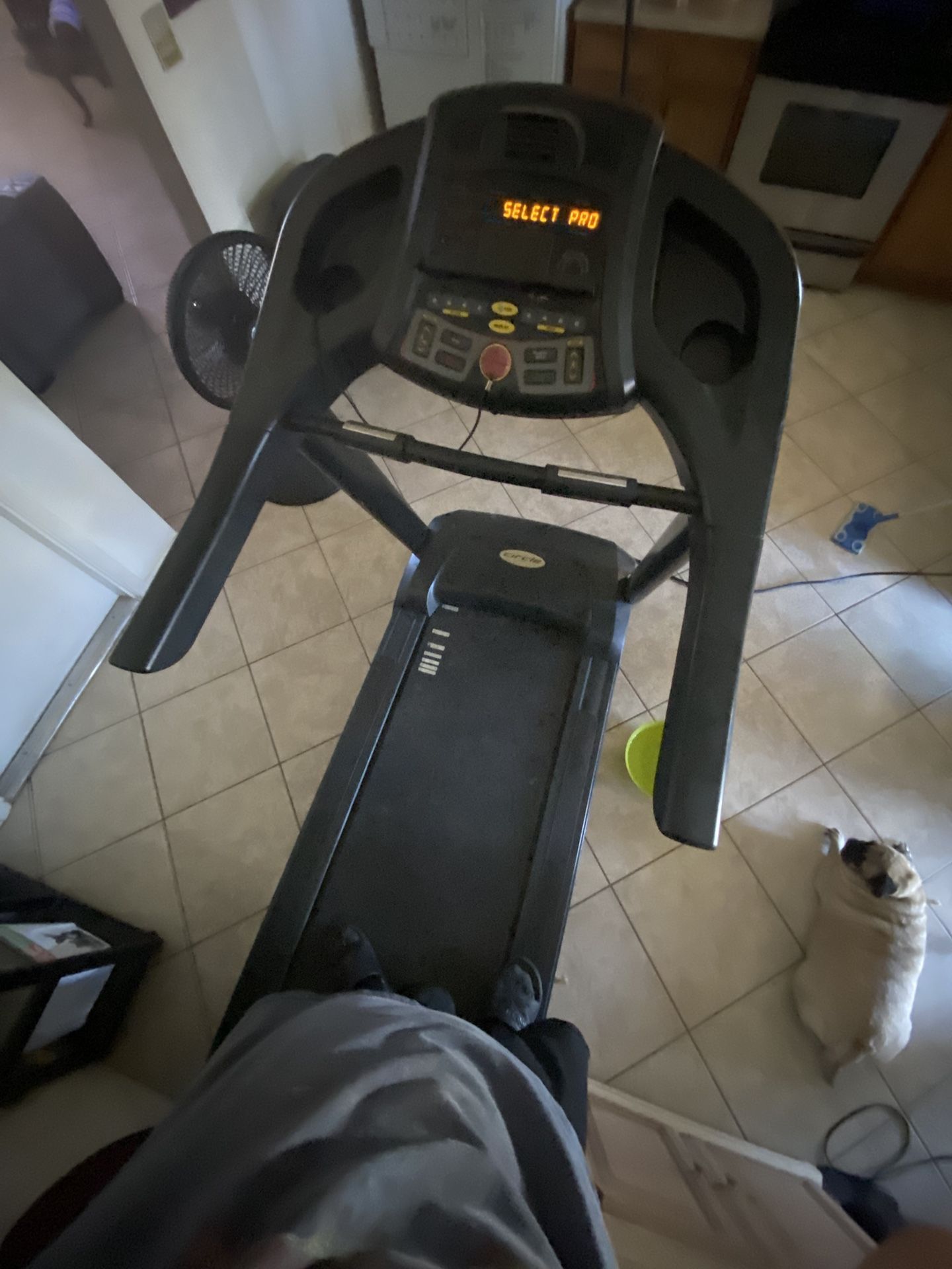 FREE-FREE-Circle Fitness Treadmill -FREE-FREE