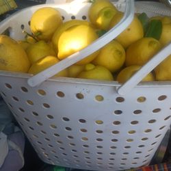 LIMON BASQUET , FRESH LIMON' S