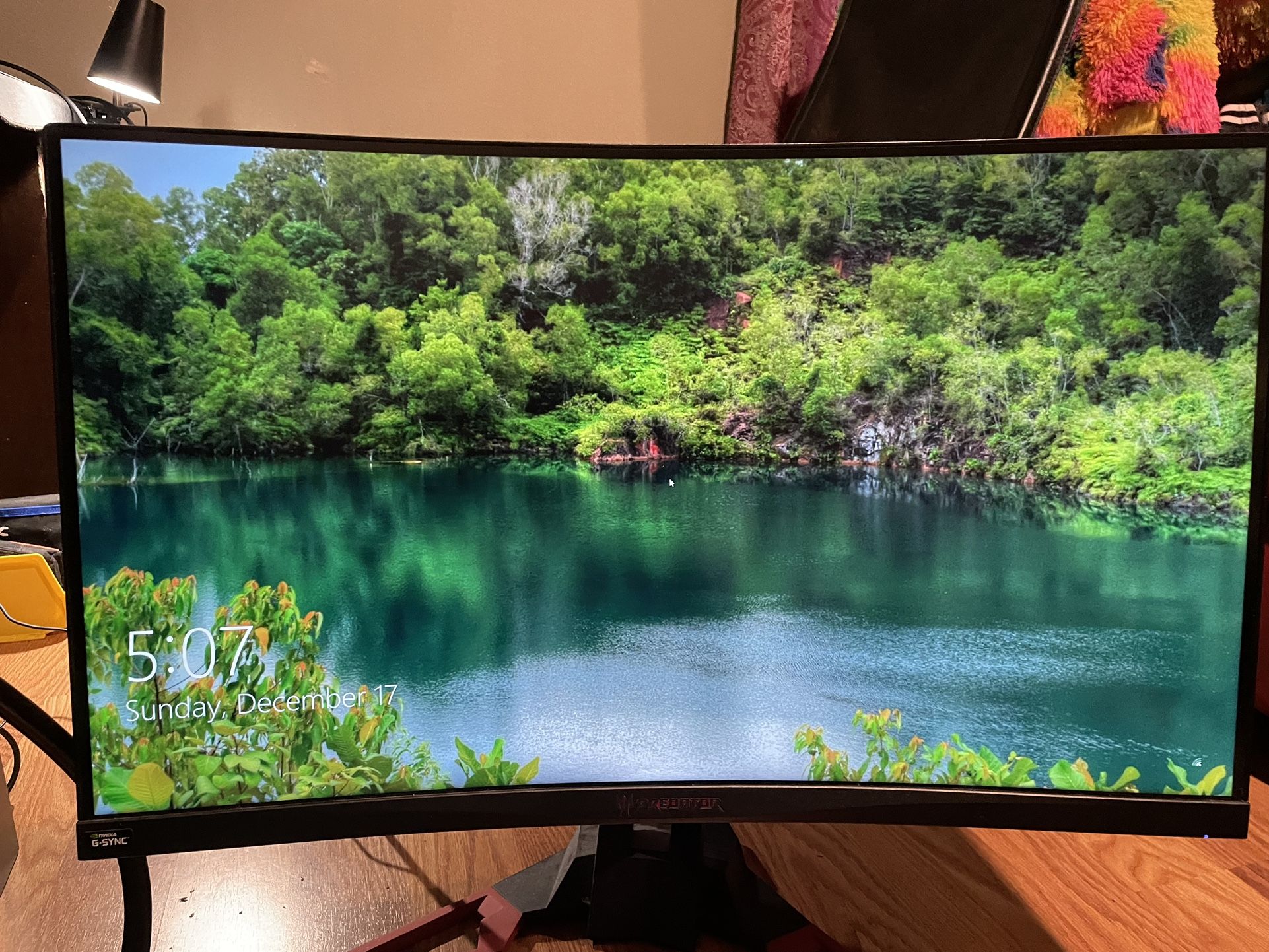 Acer Predator Monitor 