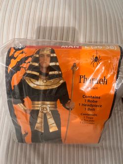 Men. Halloween costume.