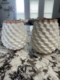 Crate & Barrel Rati Vases – Set of 2