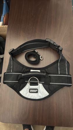 No pull dog harness, and leash