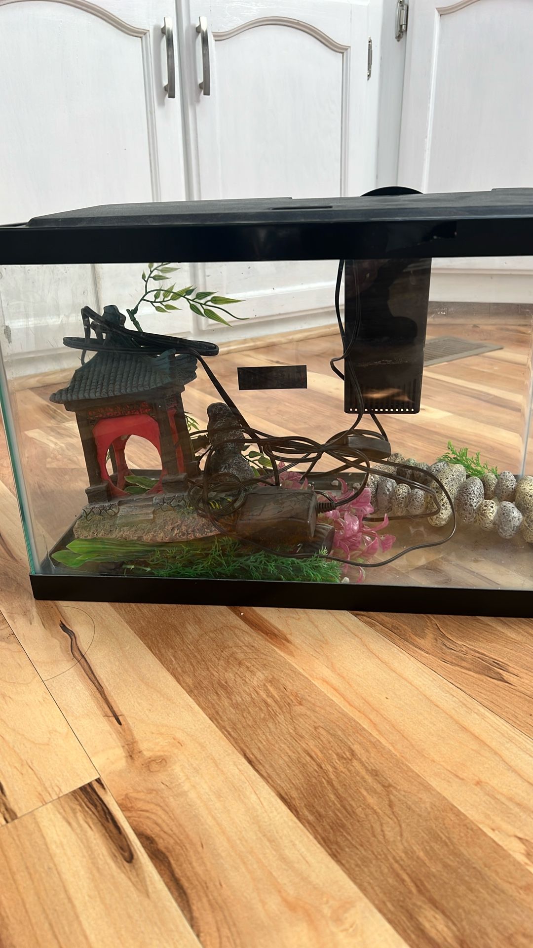 Aqua 10-Gallon Glass Aquarium Fish Tank Starter Kit