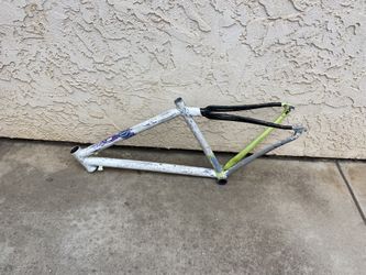 Specialized Carbon Frame
