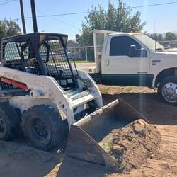 Bobcat Available 