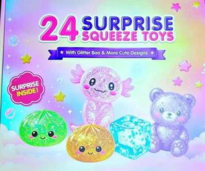 24 pc squishy