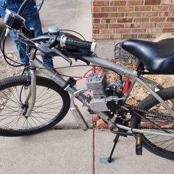 Motorized Beach Cruiser 