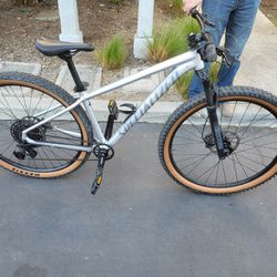 Specialized RockHopper MTB Medium 29er