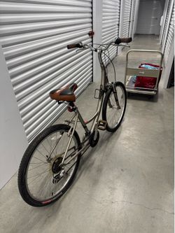 Specialized beach cruiser