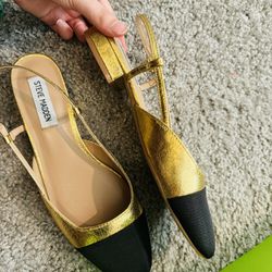Fashion Shoes Slide Flat By Steve Madden So Cute!!! And Looks Like CC Flat