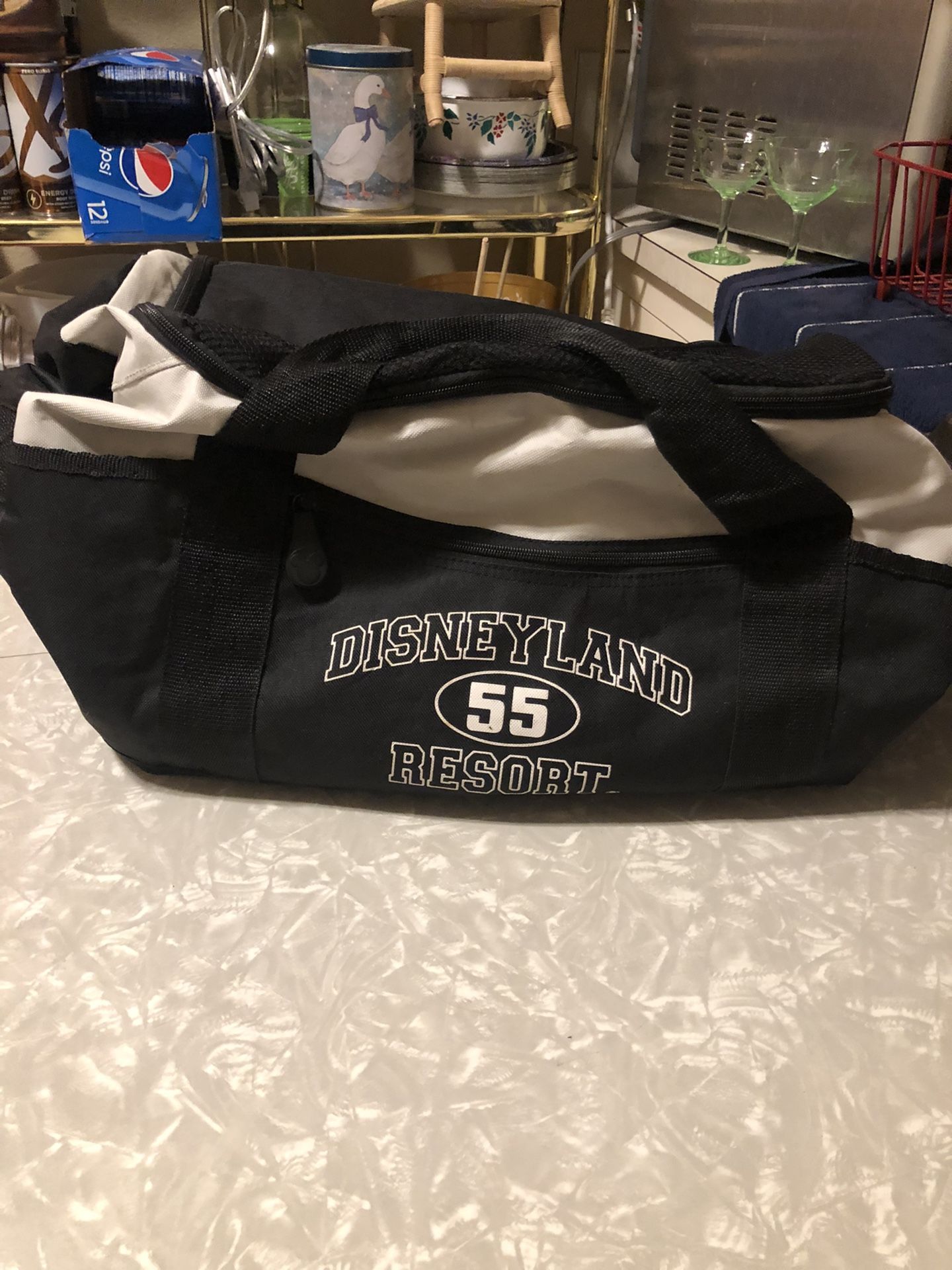 Disneyland Duffel Bag