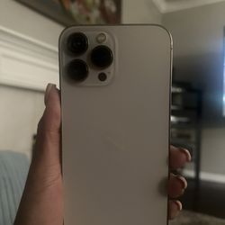 Apple iPhone 13pro Max
