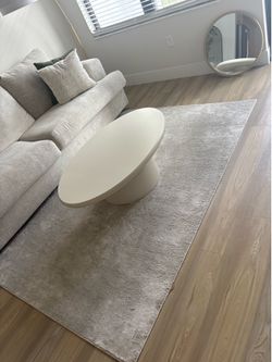Light Gray 5 x 7 Rug