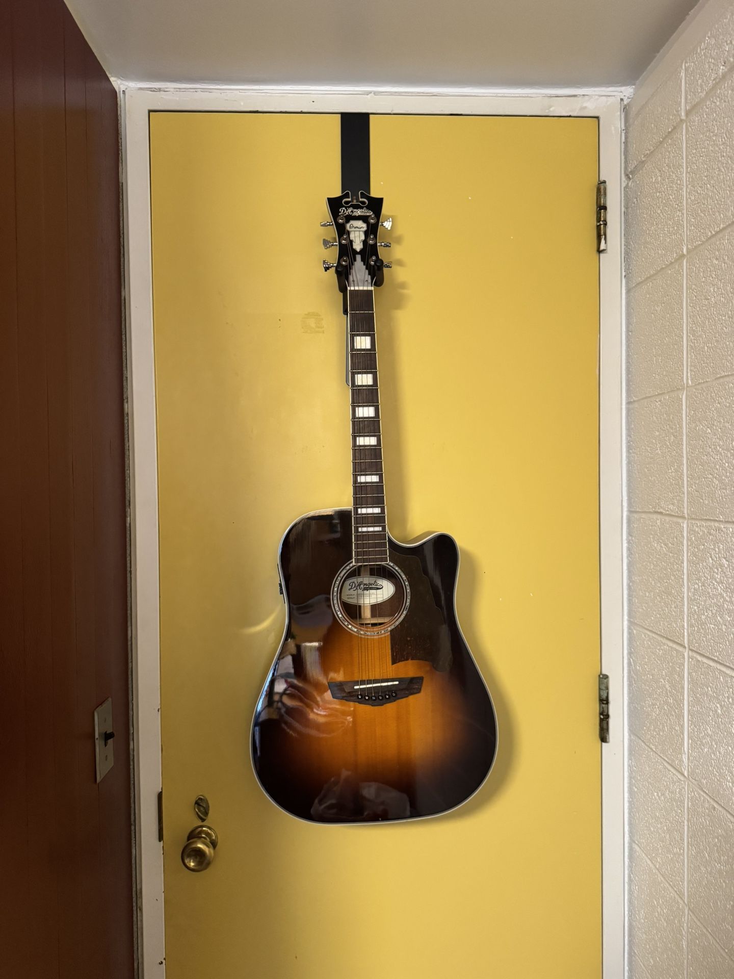 D’Angelico Premier Acoustic-Electric Guitar