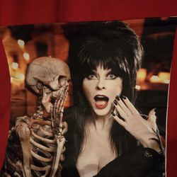 17" By 17" Elvira Pillow Case 