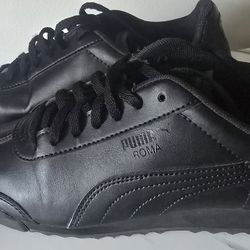 Puma 7