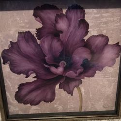 Ariane Martine, Vintage Ornate Cottage Flower Framed Art 17 3/8 X 17 3/8 