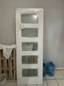 28X80 wood/Glass door