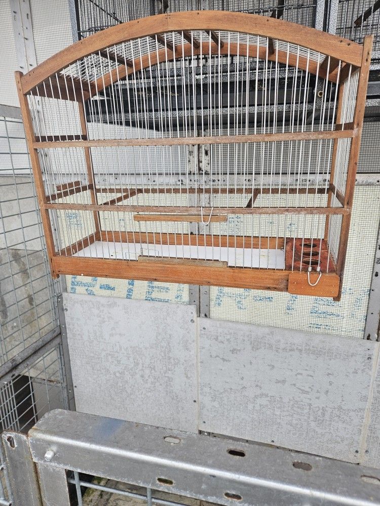 Bird Cage Jaula De Canario