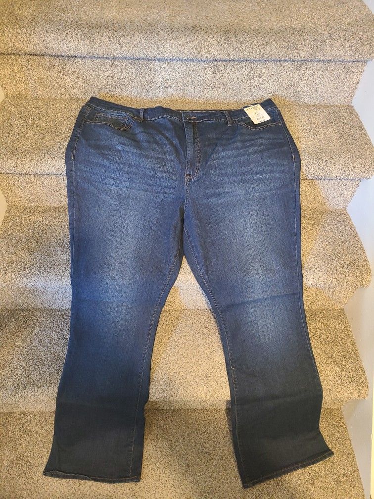 Terra Sky Plus Size Jeans-2 Pairs
