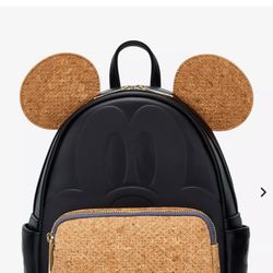 Box lunch Disney backpack 