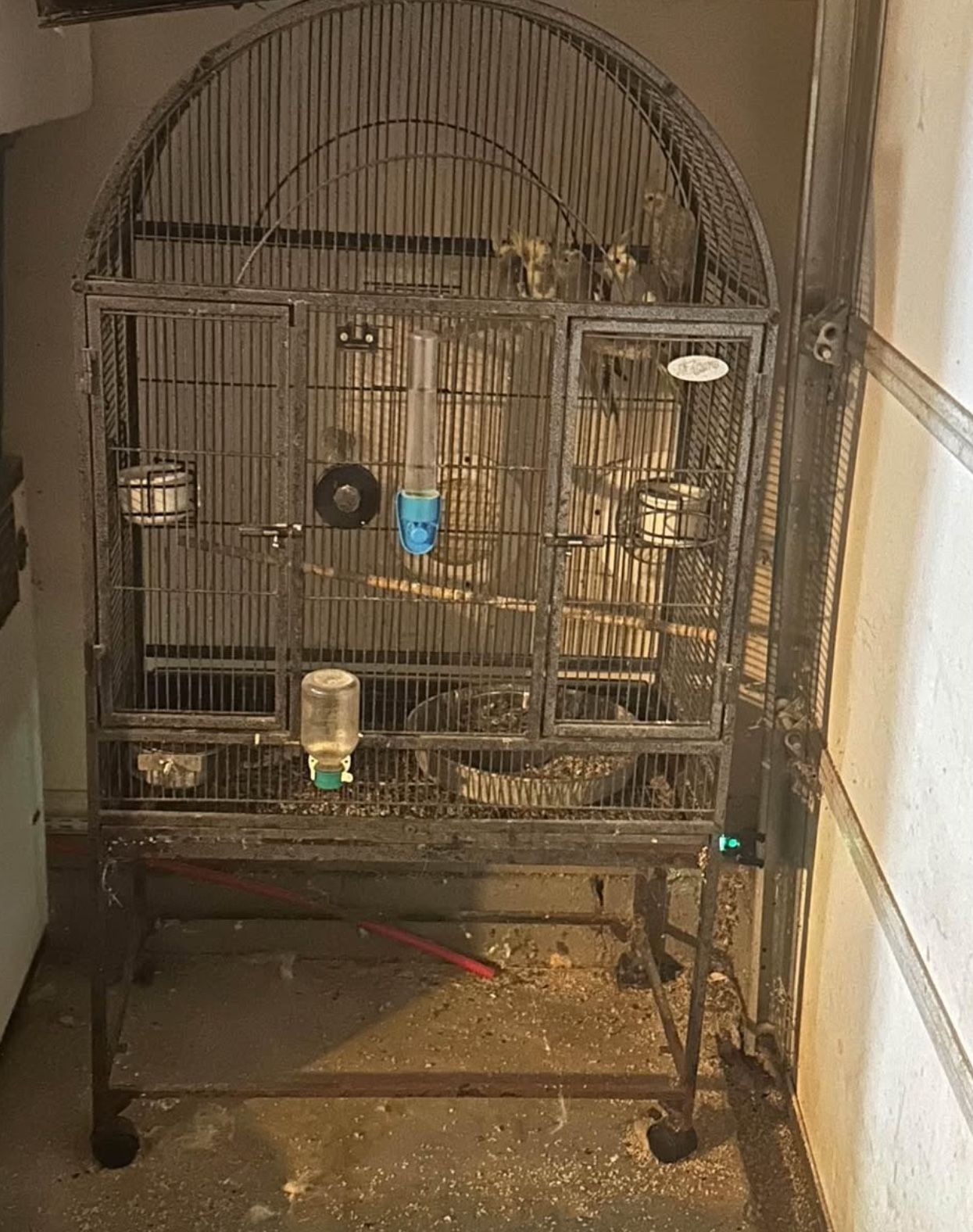 Cockatiels Cage