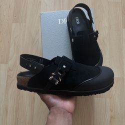 Dior X Birkenstock