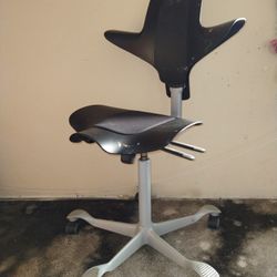 Ergonomic Chair