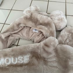 Tokyo Disney cap/ears