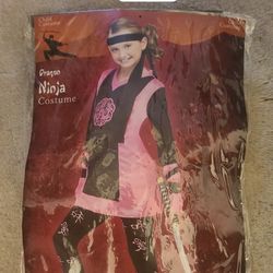 Girls Dragon Ninja Costume