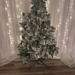 Christmas 🎄 Tree 🌲 