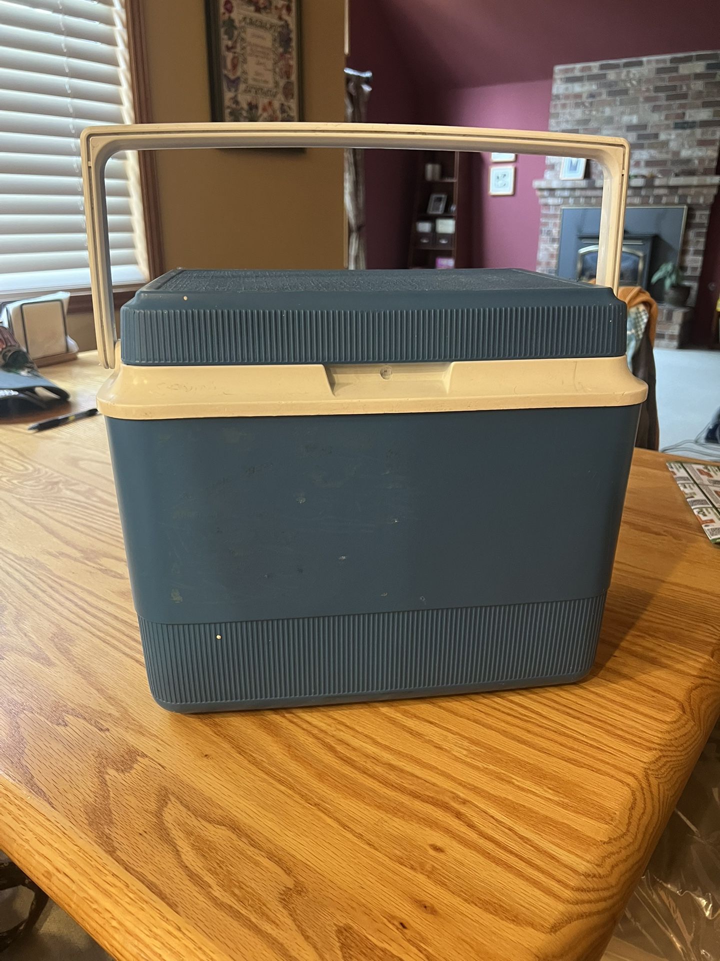 Mini Hard Sided Cooler