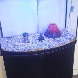 40-50 Gallon Tank