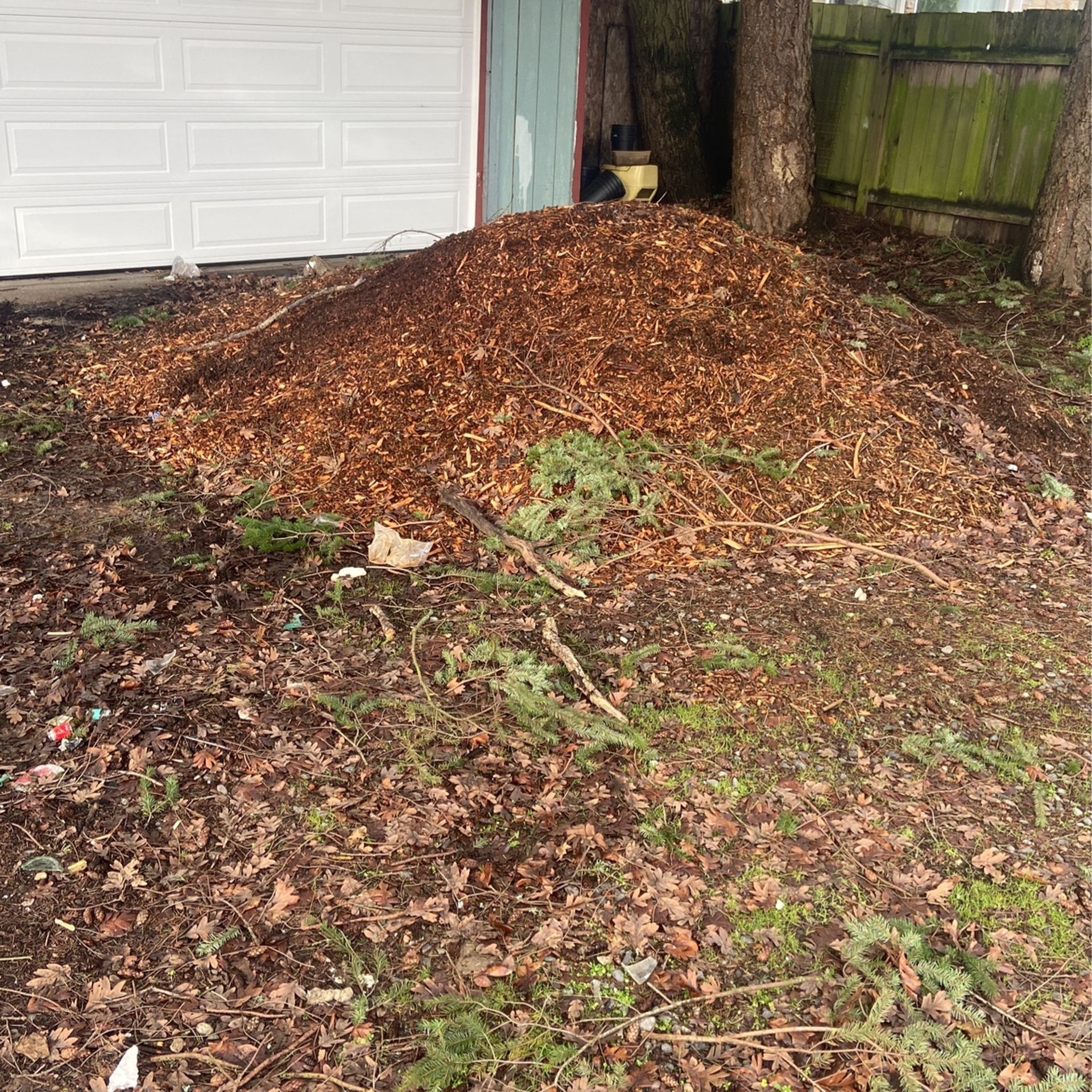 Wood Chips/Bark