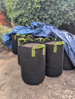 Quality Compost in 15 Gallon Grow Bags