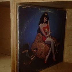 LP Record Album Cubbies 